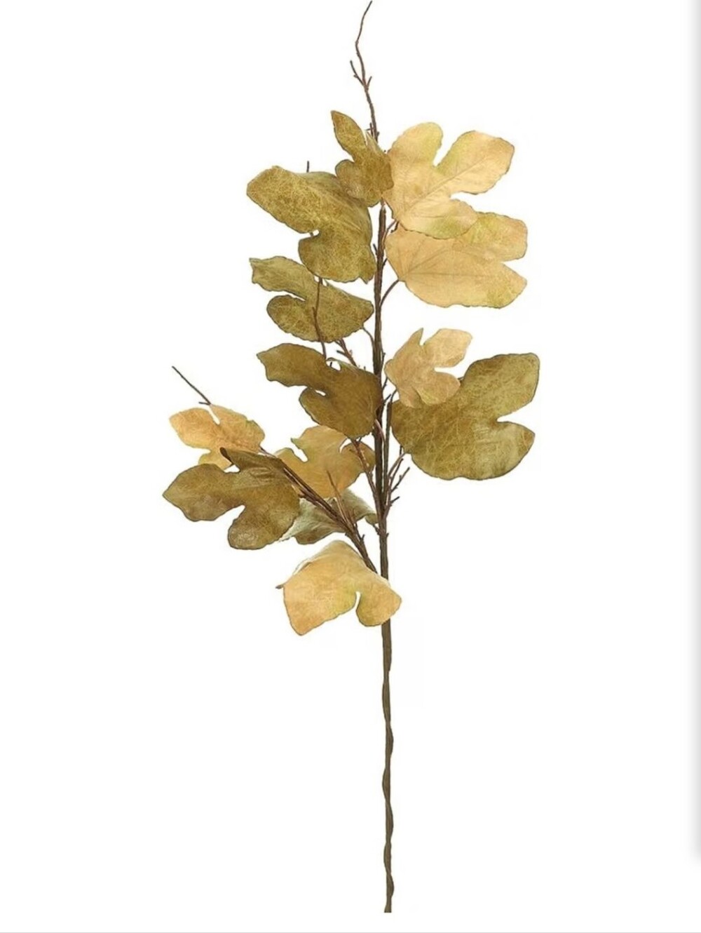 Arcadia 47" Silk Plantation Fig Leaf Spray Set Of 6